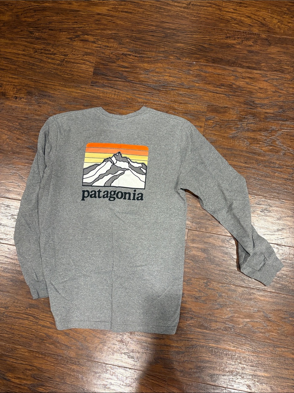 Patagonia Gray Crewneck with Sunrise Mountain Graphic